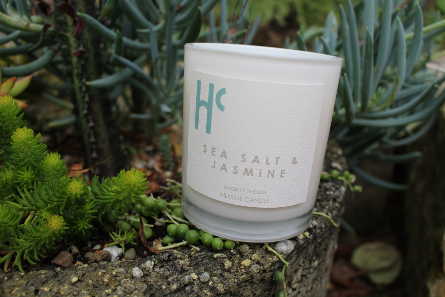Exploring Sea Salt and Jasmine Candle