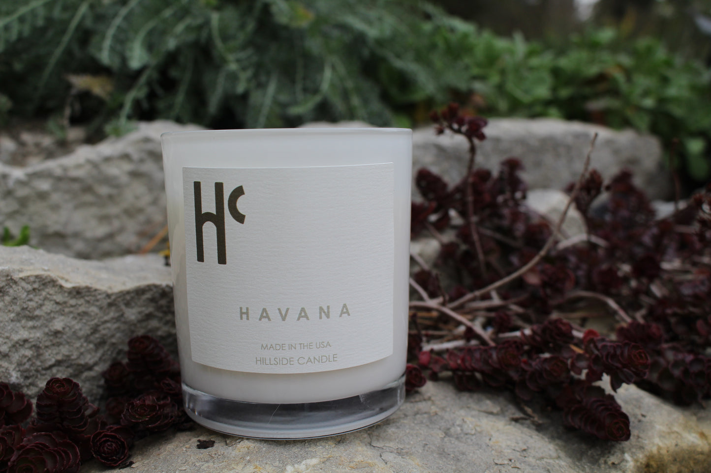 Scent Chronicles - Exploring the Vibrant Havana