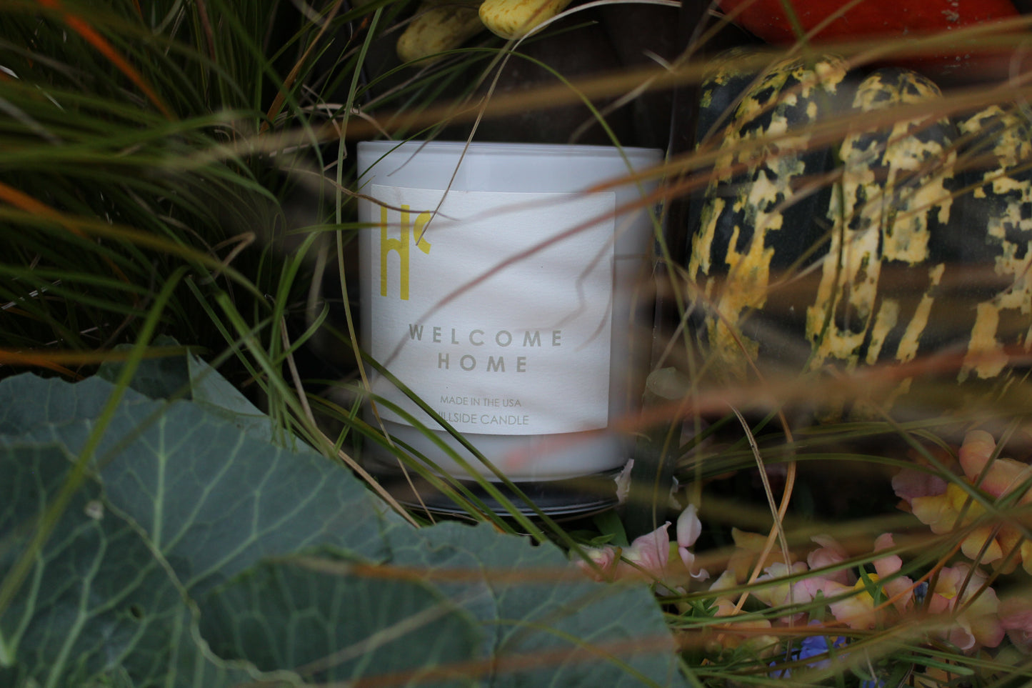Scent Chronicles - Welcome Home: The Fragrance of Heartfelt Reunions