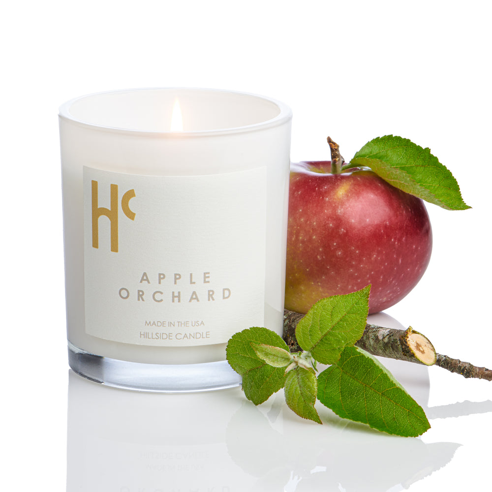 
                      
                        Apple Orchard Candle
                      
                    